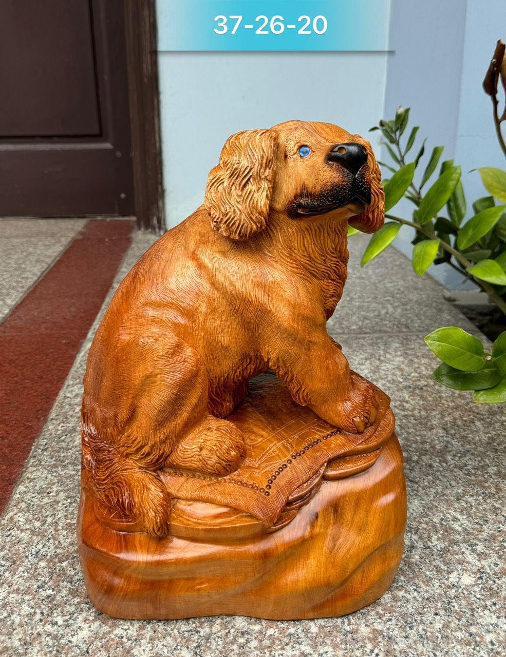 Cún Ngồi Tiền Vàng gỗ ngọc am
