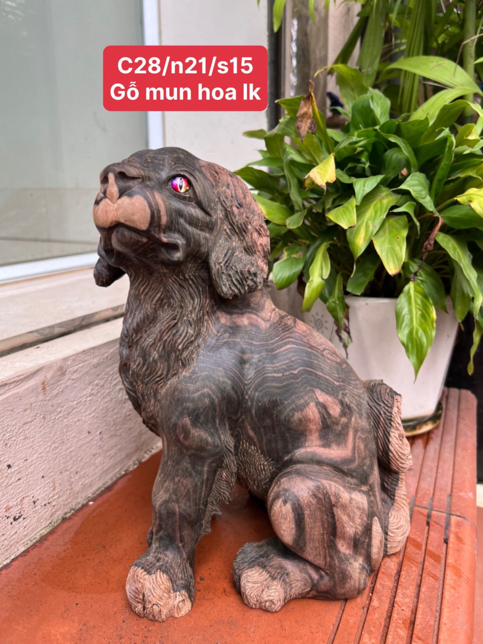 Cún gỗ mun hoa liền khối