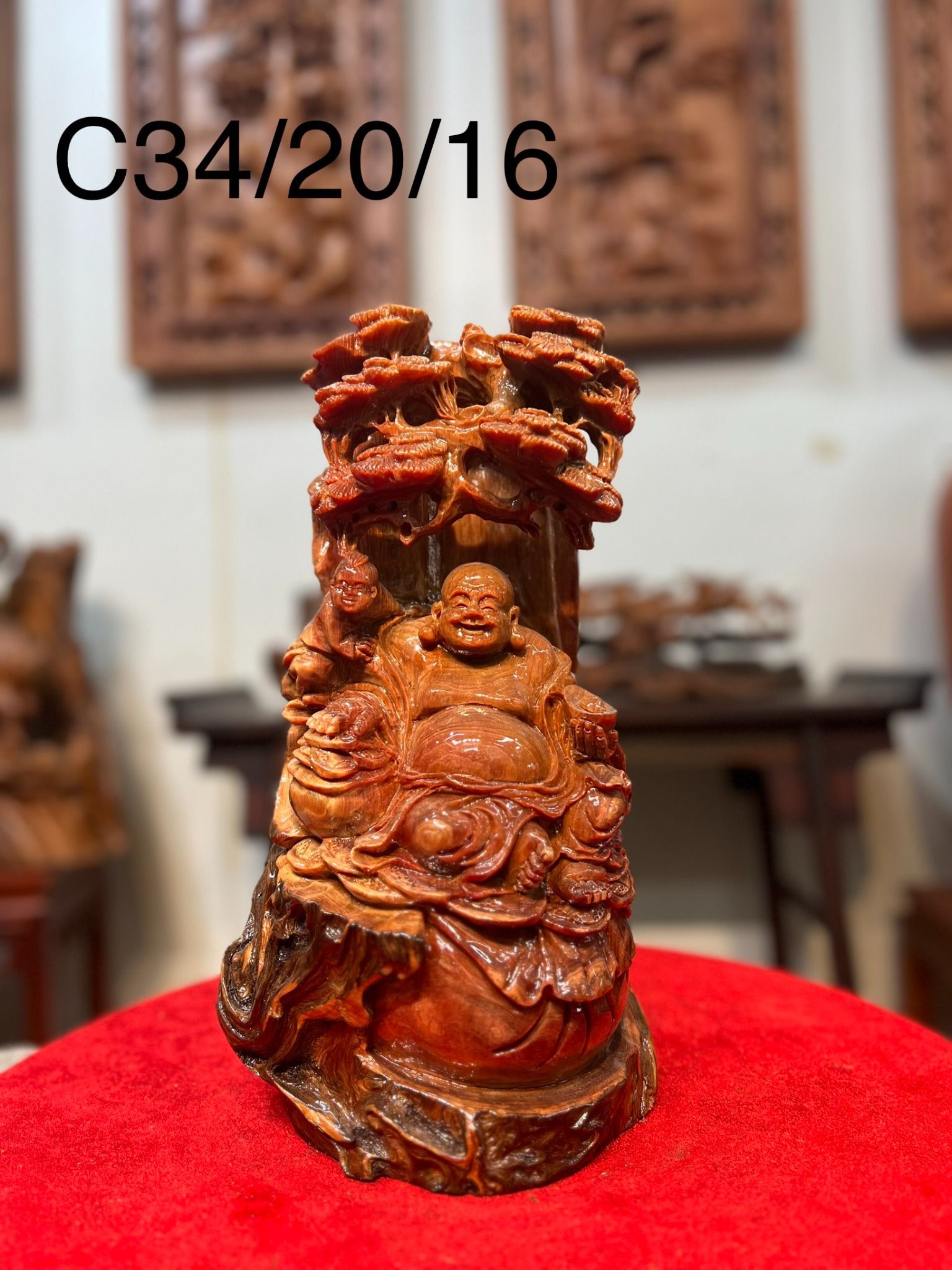 Di Lạc Gốc Tùng gỗ huyết long