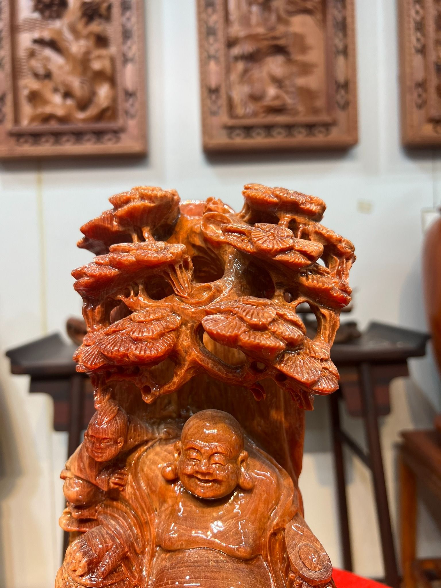 Di Lạc Gốc Tùng gỗ huyết long
