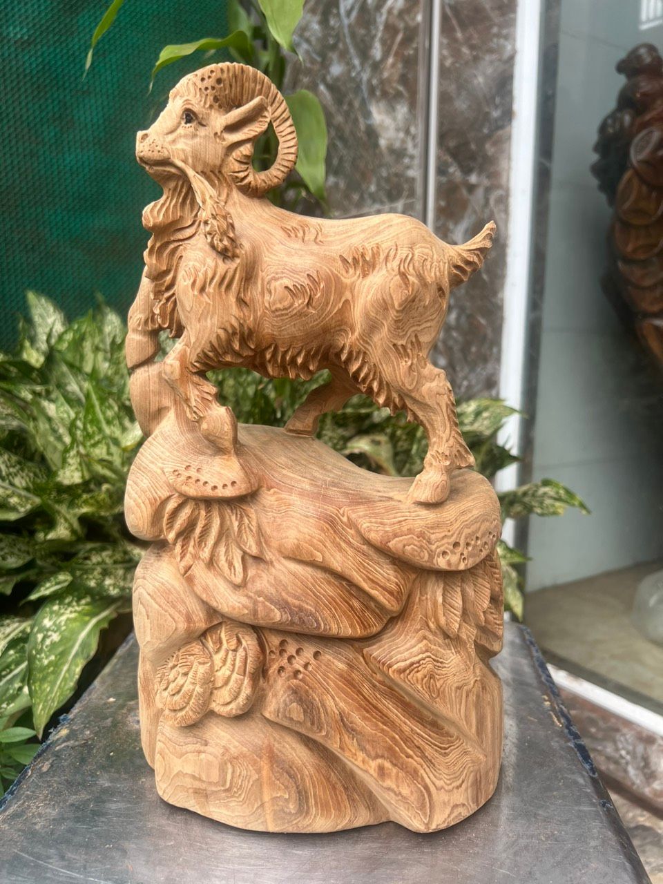 Nhất Dương gỗ ngọc am Hà Giang thơm