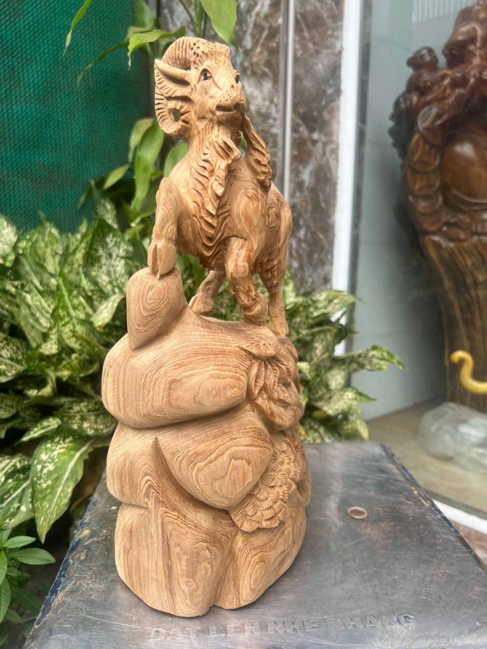 Nhất Dương gỗ ngọc am Hà Giang thơm