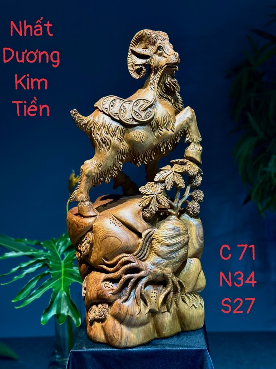 Nhất Dương Kim Tiền gỗ ngọc am