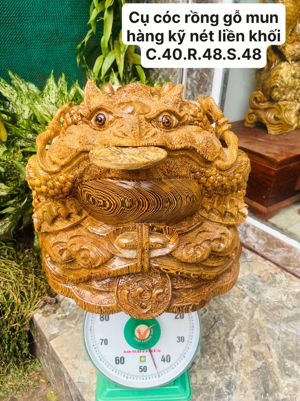 Cụ Cóc Gỗ Mun Đuôi Công - Tượng Gỗ Độc Đáo