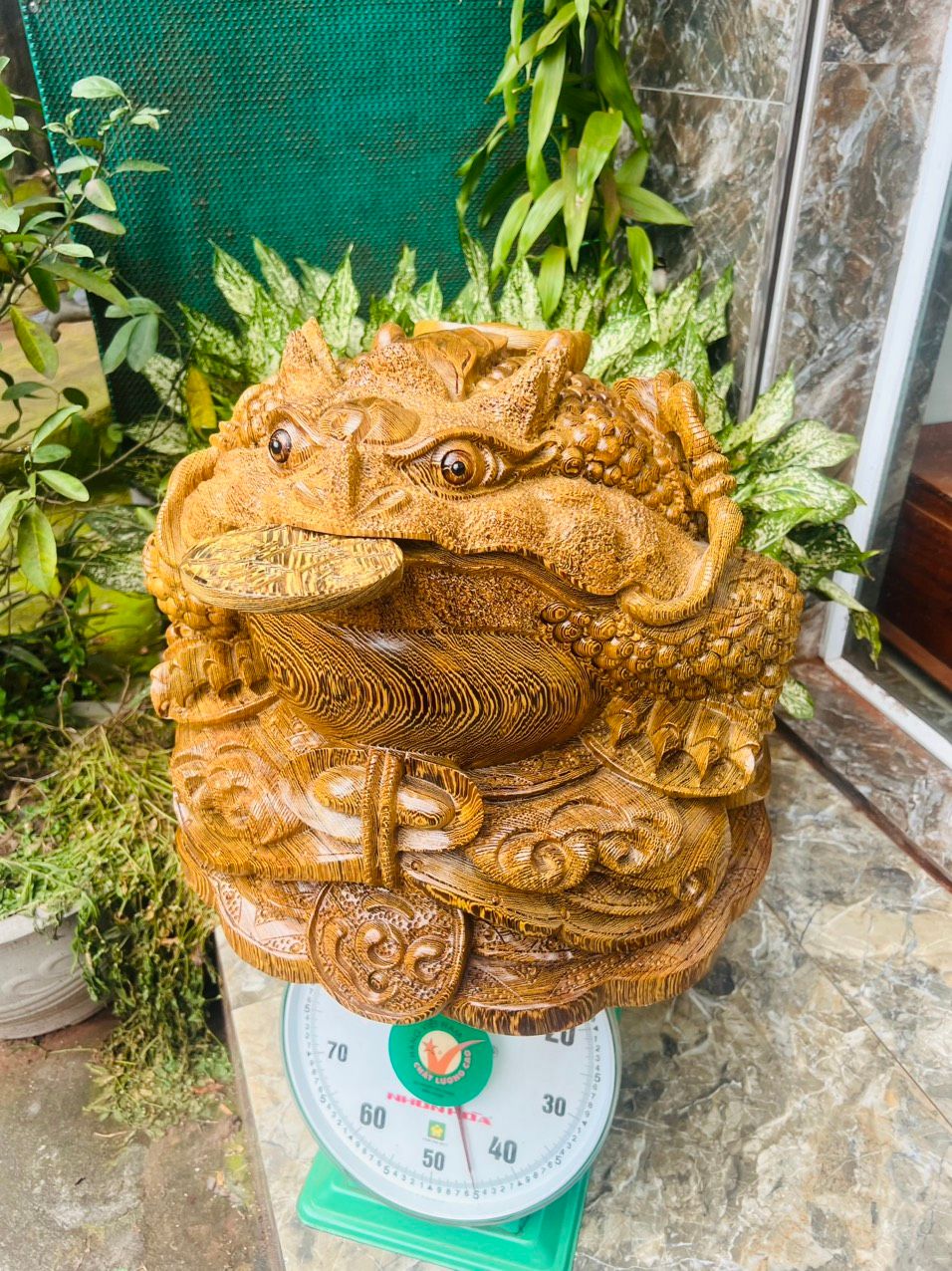 Cụ Cóc Gỗ Mun Đuôi Công - Tượng Gỗ Độc Đáo