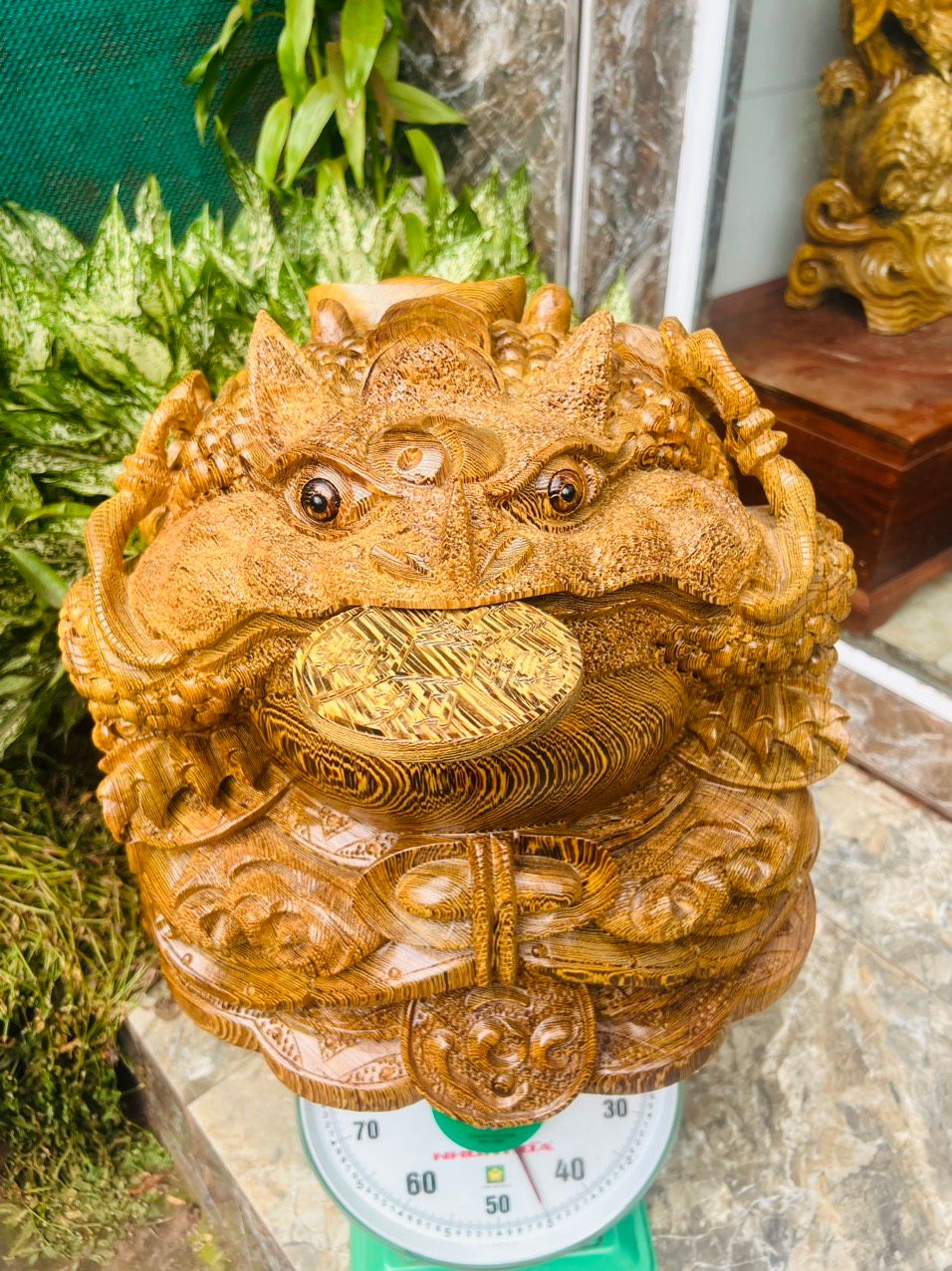 Cụ Cóc Gỗ Mun Đuôi Công - Tượng Gỗ Độc Đáo