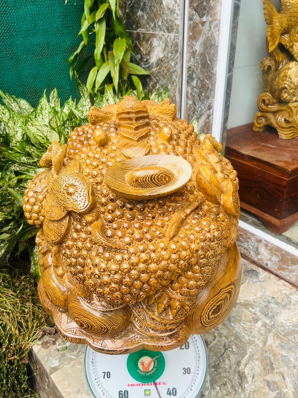 Cụ Cóc Gỗ Mun Đuôi Công - Tượng Gỗ Độc Đáo