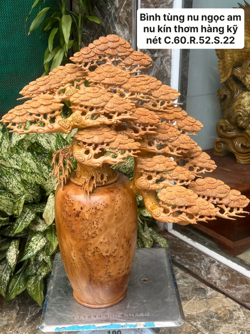 Bình Tùng Nu Ngọc Am - Tượng Gỗ Quý Hiếm