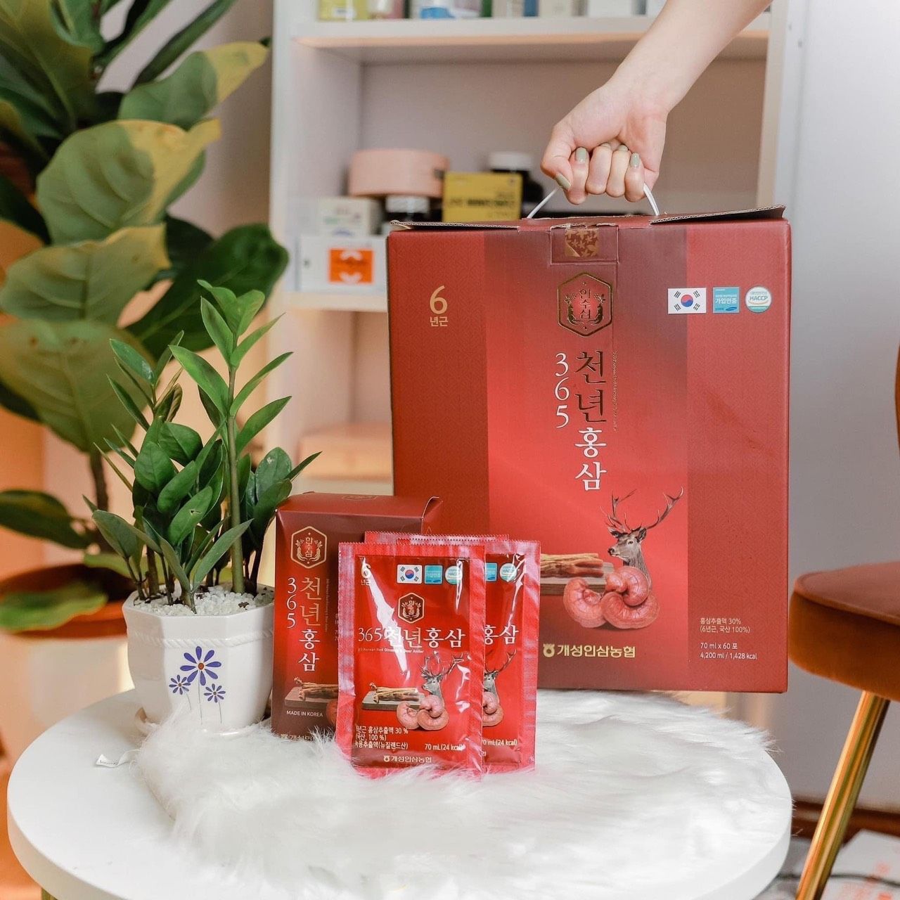 Nước Hồng Sâm Linh Chi Nhung Hươu 365 Hàn Quốc