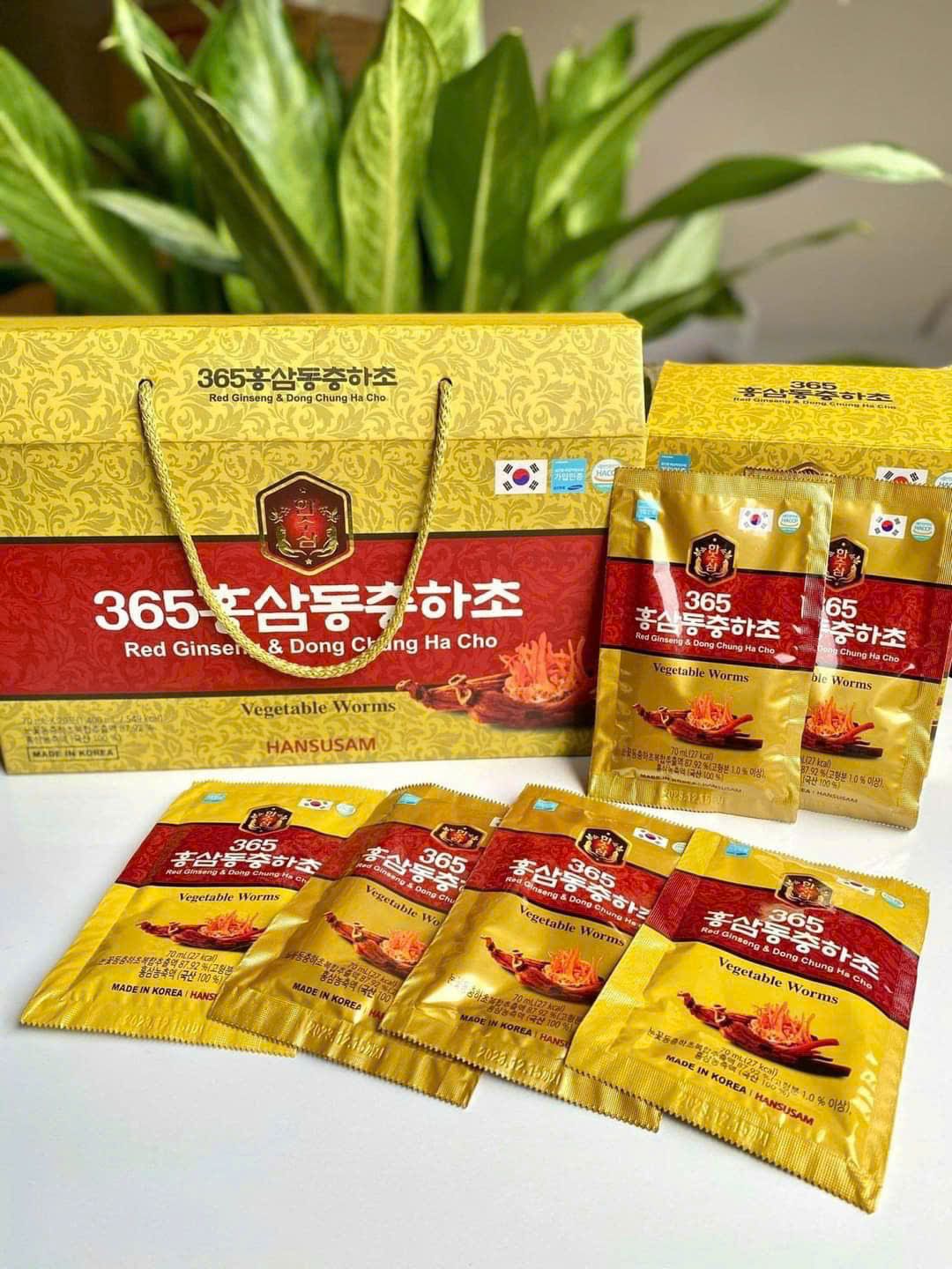 Nước Hồng Sâm Đông Trùng Hạ Thảo Hansusam 365 | Bí quyết sức khoẻ toàn diện