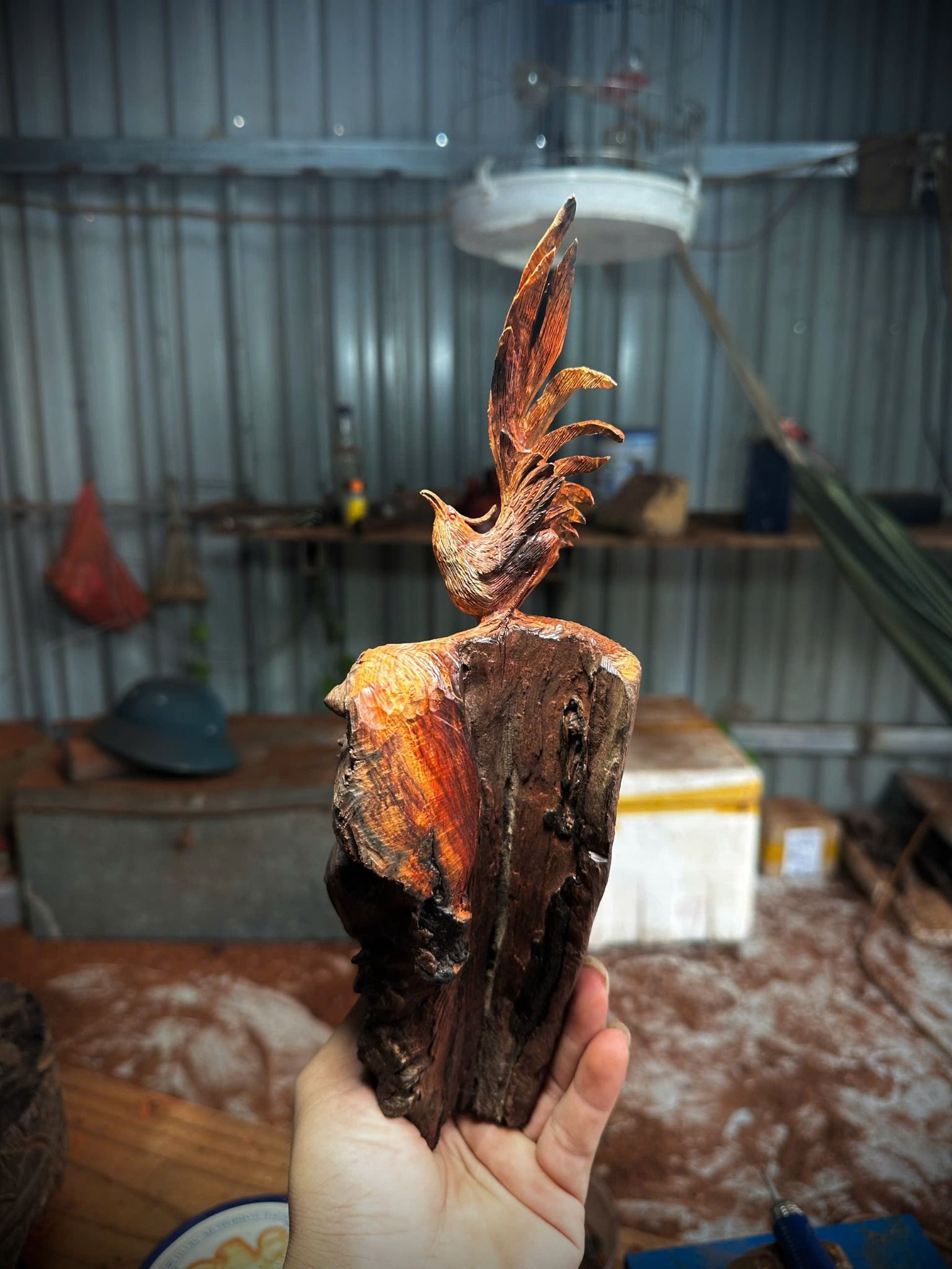 Nu Trắc Liền Khối