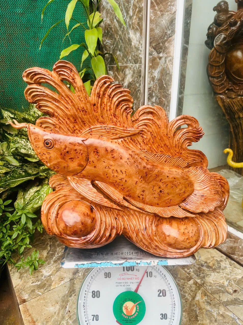 Cá Rồng Gỗ Nu Xá Xị Liền Khối