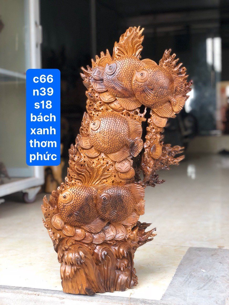 Cá Đồng Tiền Gỗ Bách Xanh Mộc Châu
