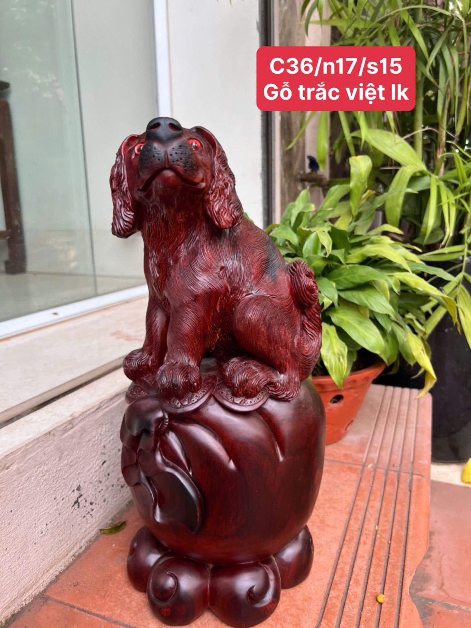 Cún Gỗ Trắc Việt Liền Khối