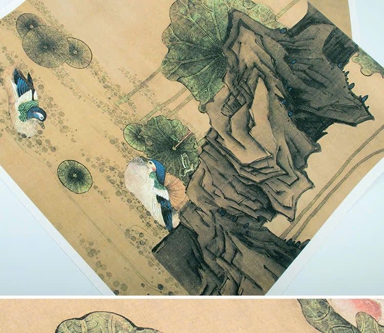 Hình ảnh vịt Ming Chen