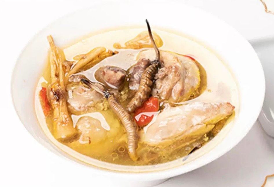 Hộp quà tặng đông trùng hạ thảo