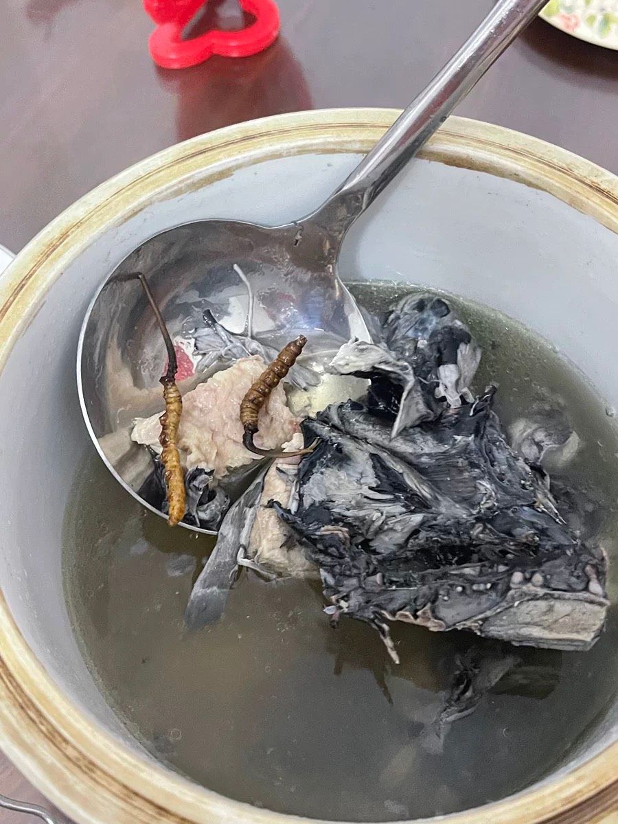 Hộp quà tặng đông trùng hạ thảo