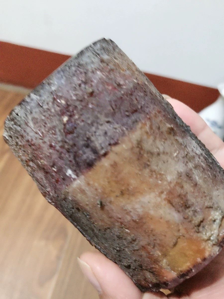 Mẫu côn trùng trang trí (ve sầu)