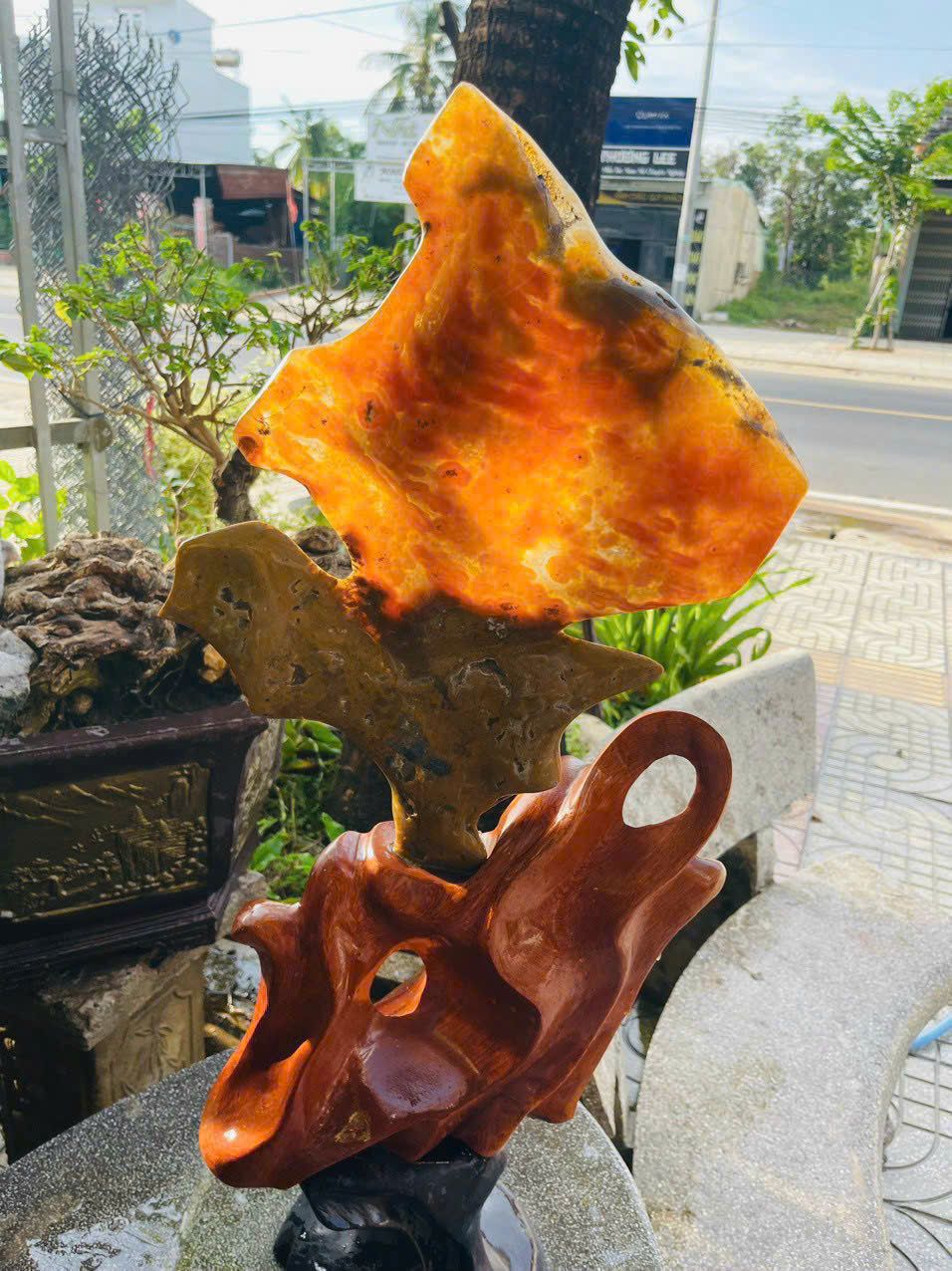 Cánh Chim Hạnh Phúc