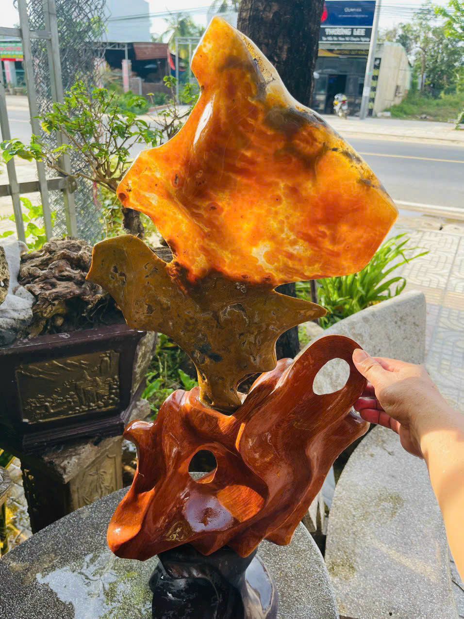 Cánh Chim Hạnh Phúc