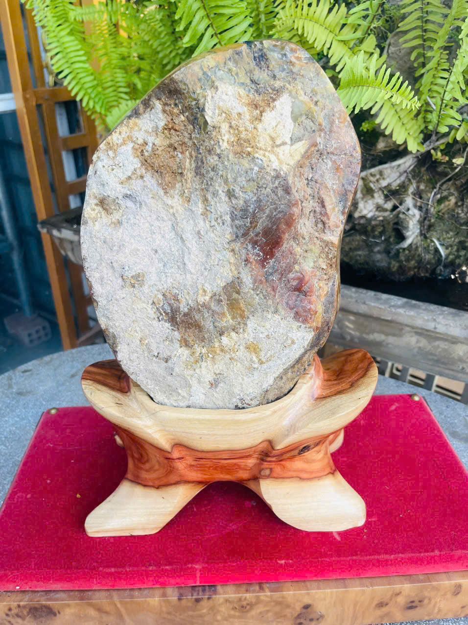 Cây Gỗ Hóa Ngọc Tím Đa Sắc