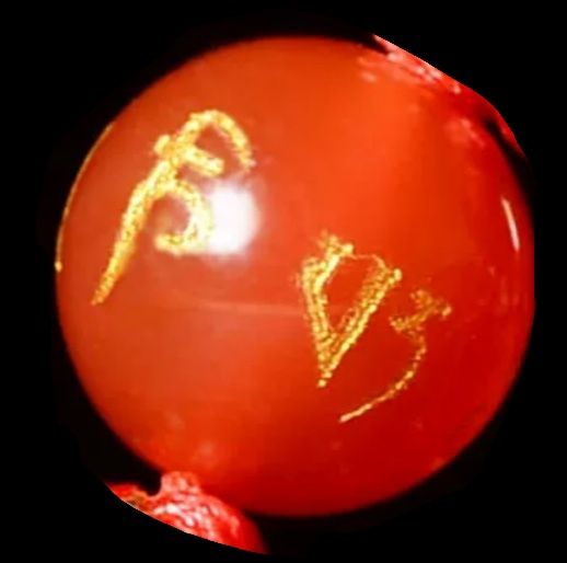 Dây chuyền rồng phượng