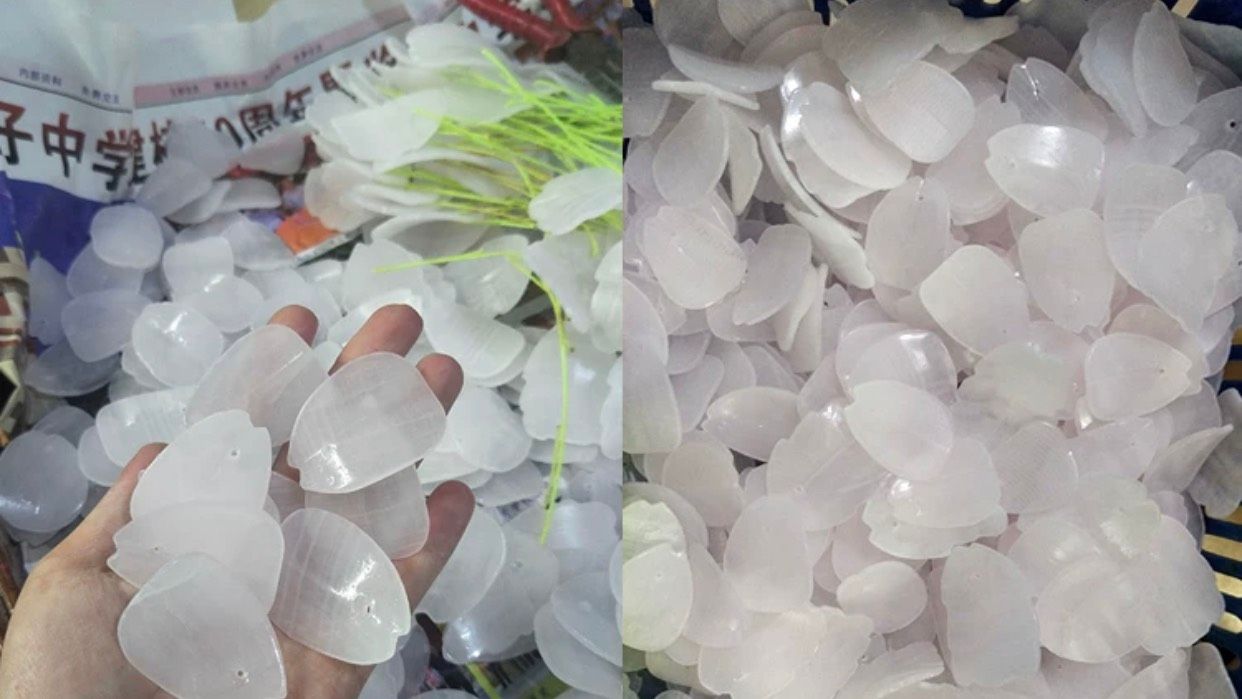 Cây nhỏ trà may mắn trang trí