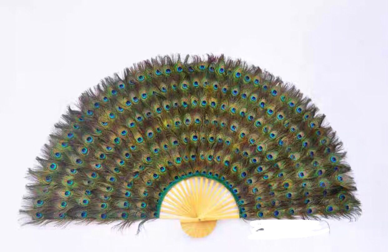Quạt một mặt lông chim công