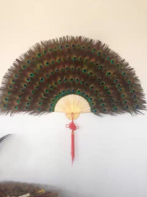 Quạt một mặt lông chim công