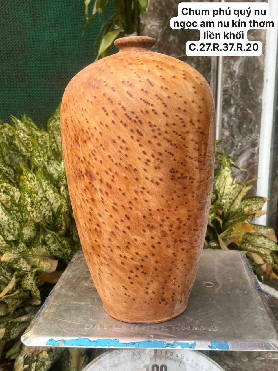Bình Chum Phú Quý Gỗ Nu Ngọc Am