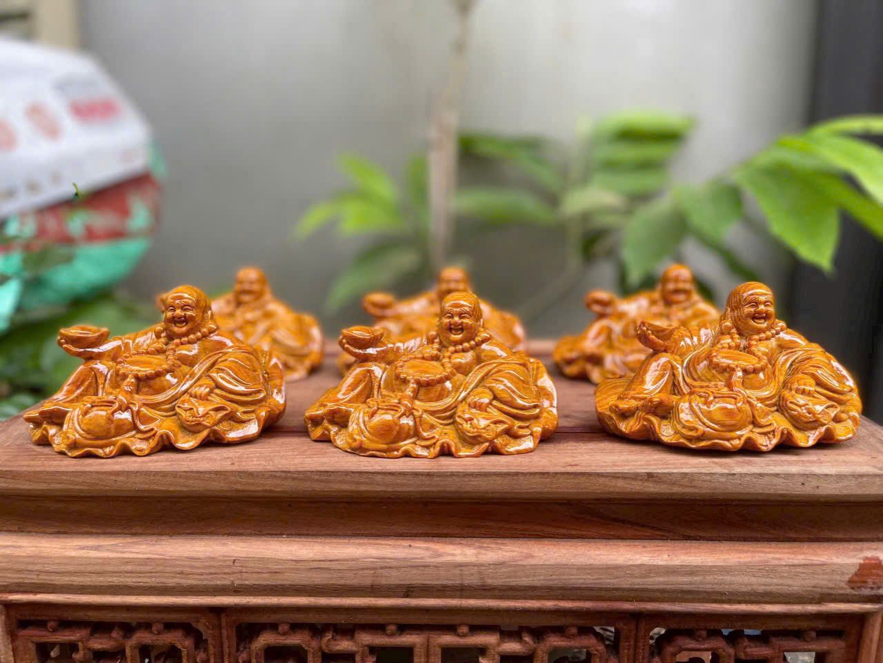 Di lặc lá sen gỗ huyết long