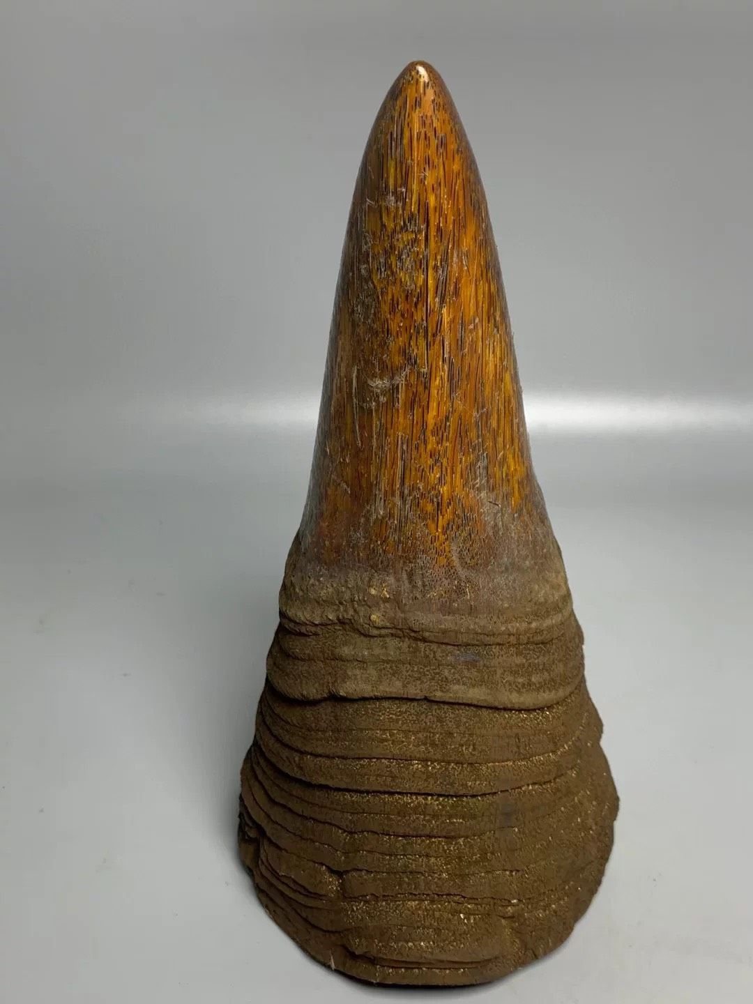 Sản Phẩm Trang Trí