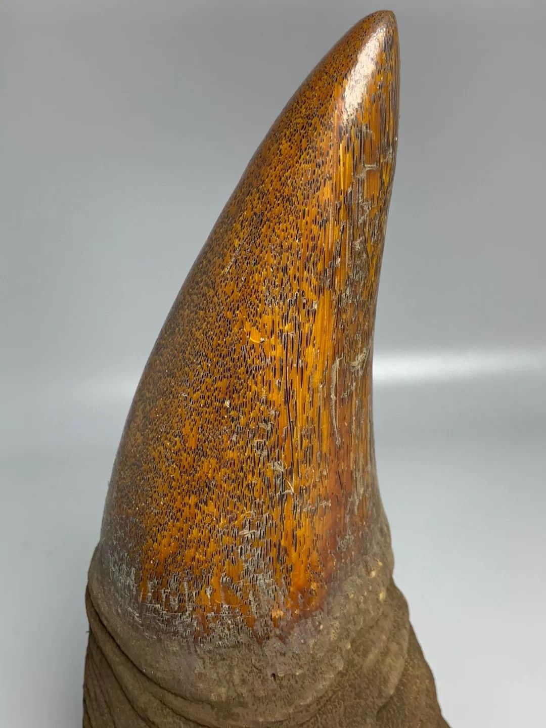 Sản Phẩm Trang Trí