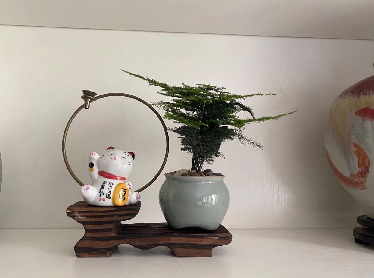 ĐỒ TRANG TRÍ MÈO THẦN TÀI MAY MẮN BK-CE-000960-VN-0020