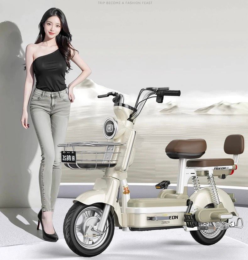 XE ĐẠP ĐIỆN CAO CẤP BK-ME-023000-VN-0058