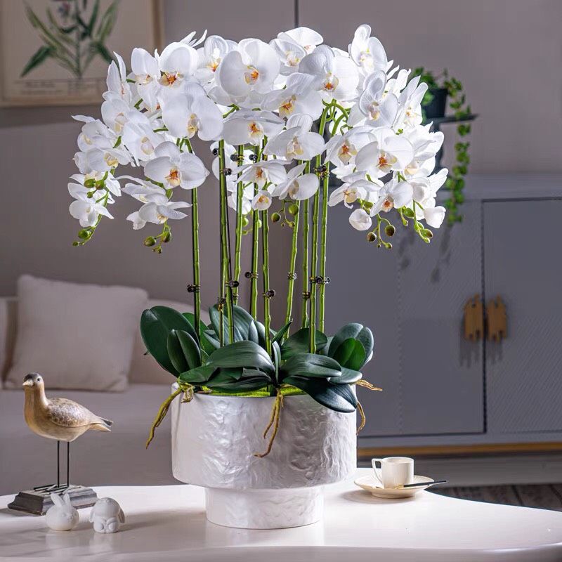 CHẬU HOA LAN TRANG TRÍ NHẸ NHÀNG BK-CE-007100-VN-0079