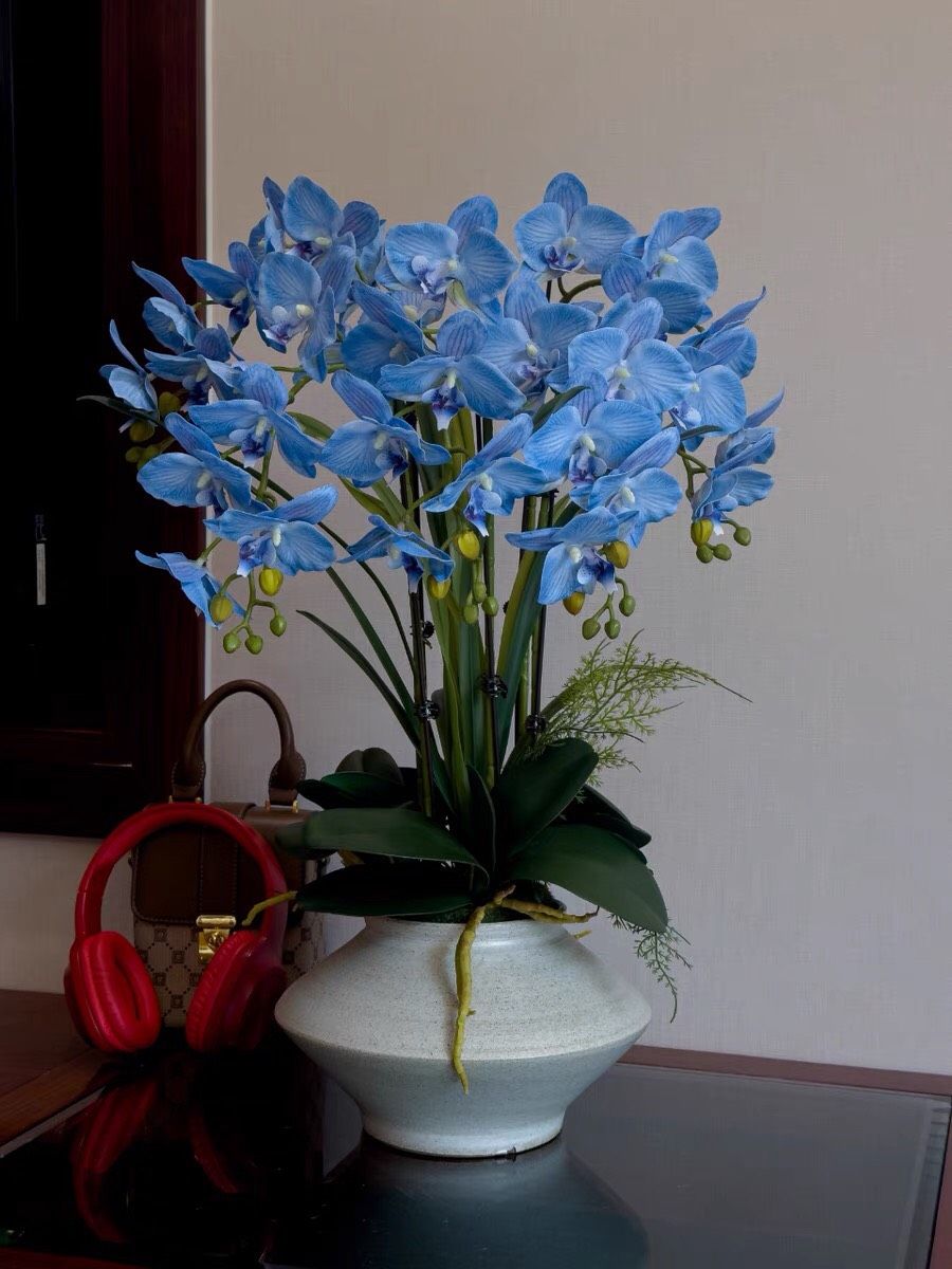 BÌNH HOA LAN HỒ ĐIỆP TRANG TRÍ BK-CE-003300-VN-0080