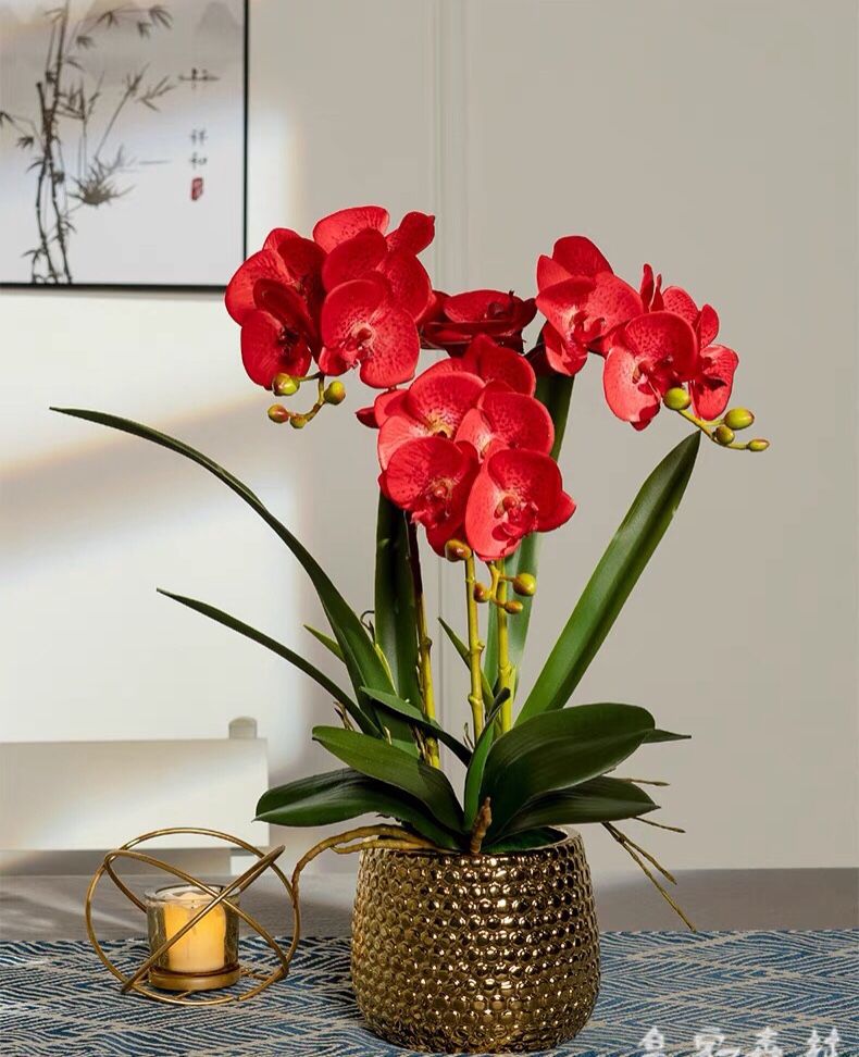 BÌNH HOA LAN TRANG TRÍ CAO CẤP BK-CE-001990-VN-0083