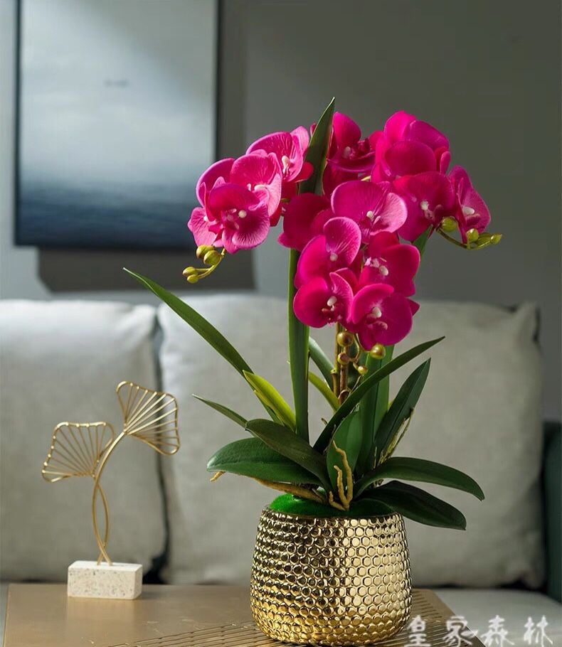 BÌNH HOA LAN TRANG TRÍ CAO CẤP BK-CE-001990-VN-0083