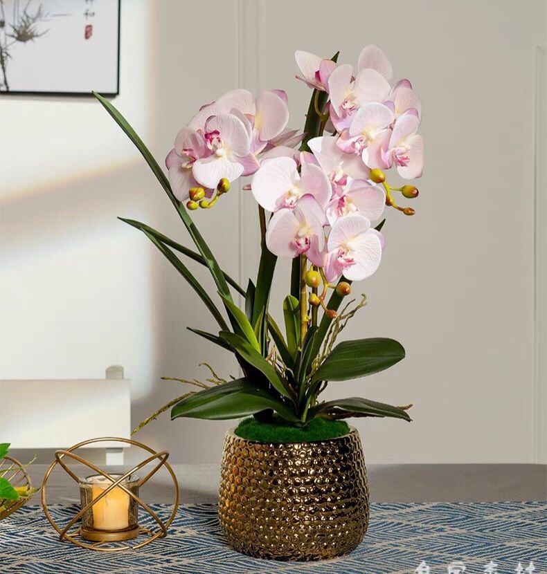 BÌNH HOA LAN TRANG TRÍ CAO CẤP BK-CE-001990-VN-0083