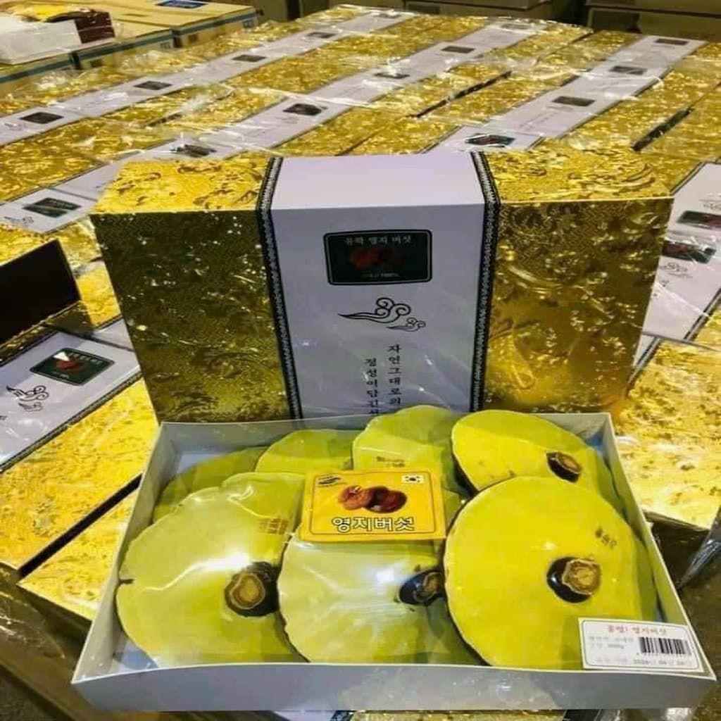 Nấm linh chi Uhak Hàn Quốc
