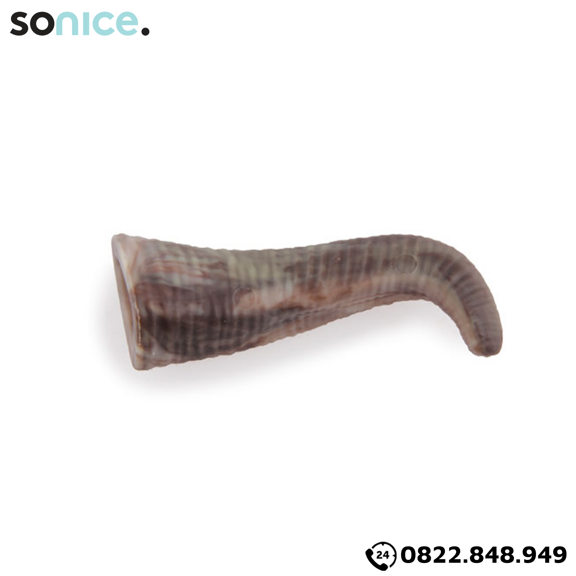 Đồ chơi sừng dê AFP Wild & Nature Goat Horn Toys size L - SONICE.