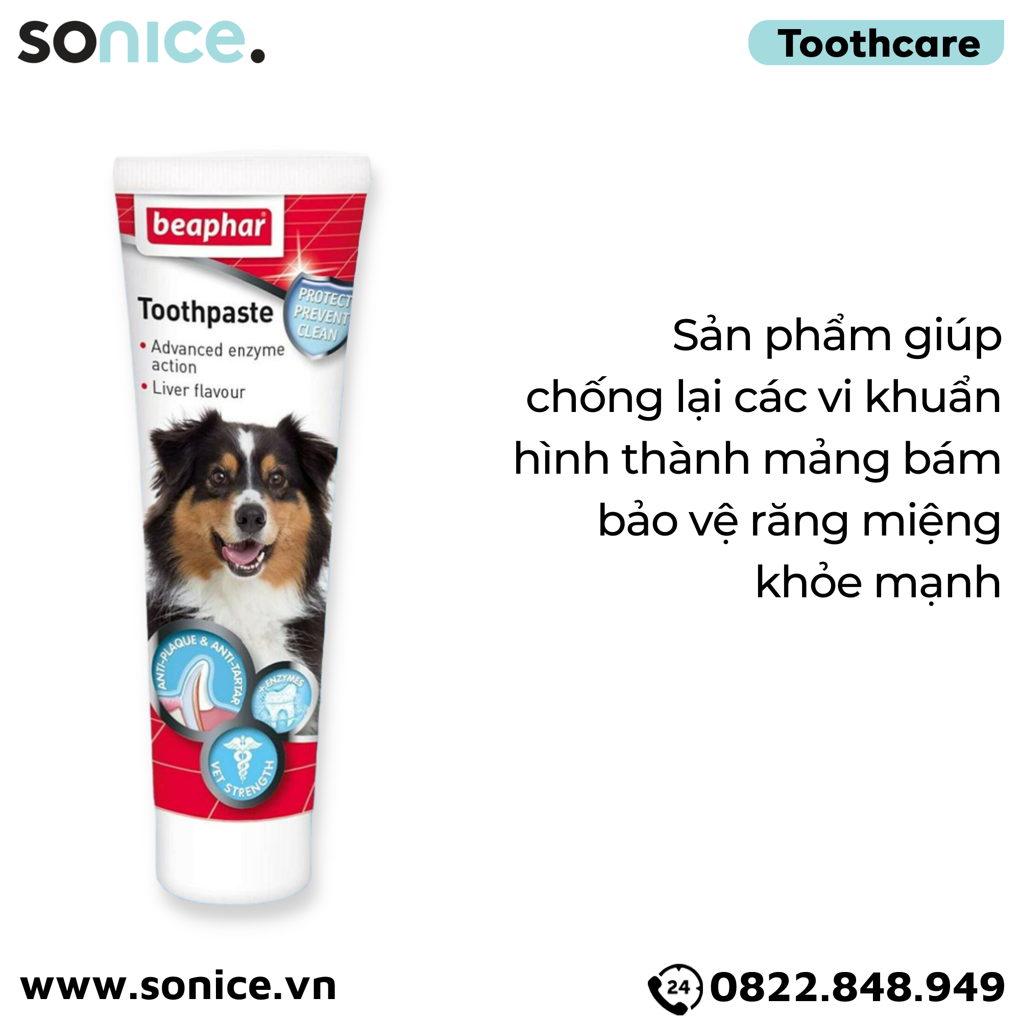 Kem đánh răng Beaphar Toothpaste 100g SONICE.