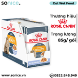  Pate mèo Royal Canin Beauty Jelly 85g - Hộp 12 gói SONICE. 