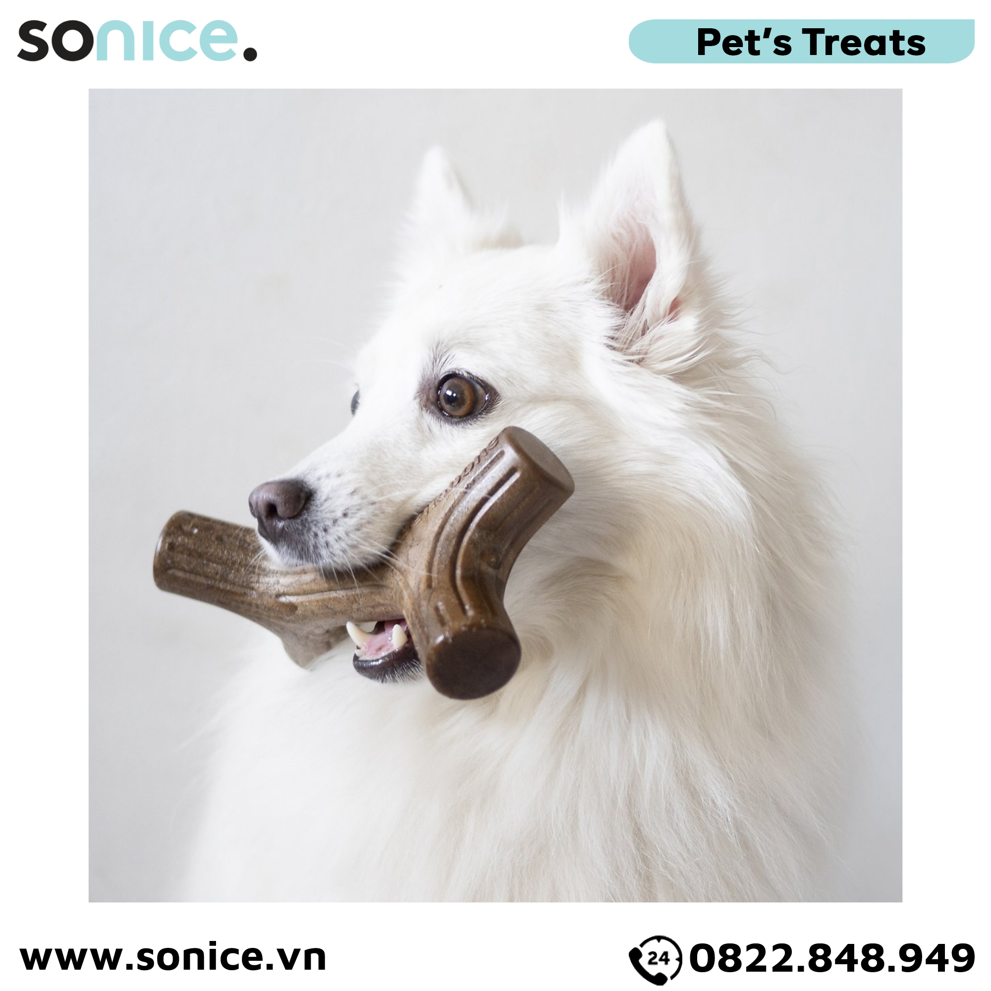 Xương gặm BENEBONE Bacon Stick Medium size cho chó <30kg - vị thịt xông khói SONICE.