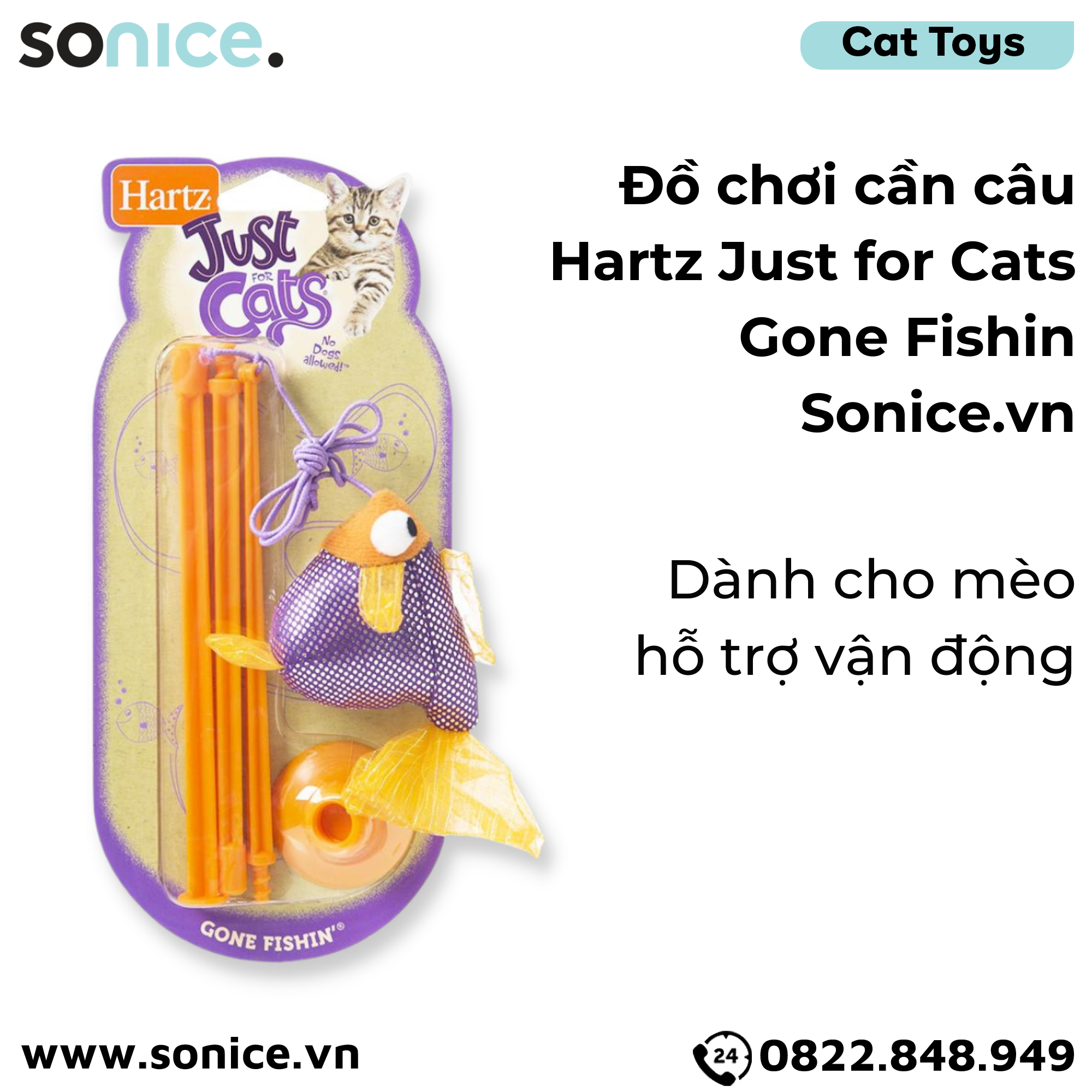 Đồ chơi cần câu Hartz Just for Cats Gone Fishin - Dành cho mèo, hỗ trợ vận động SONICE.