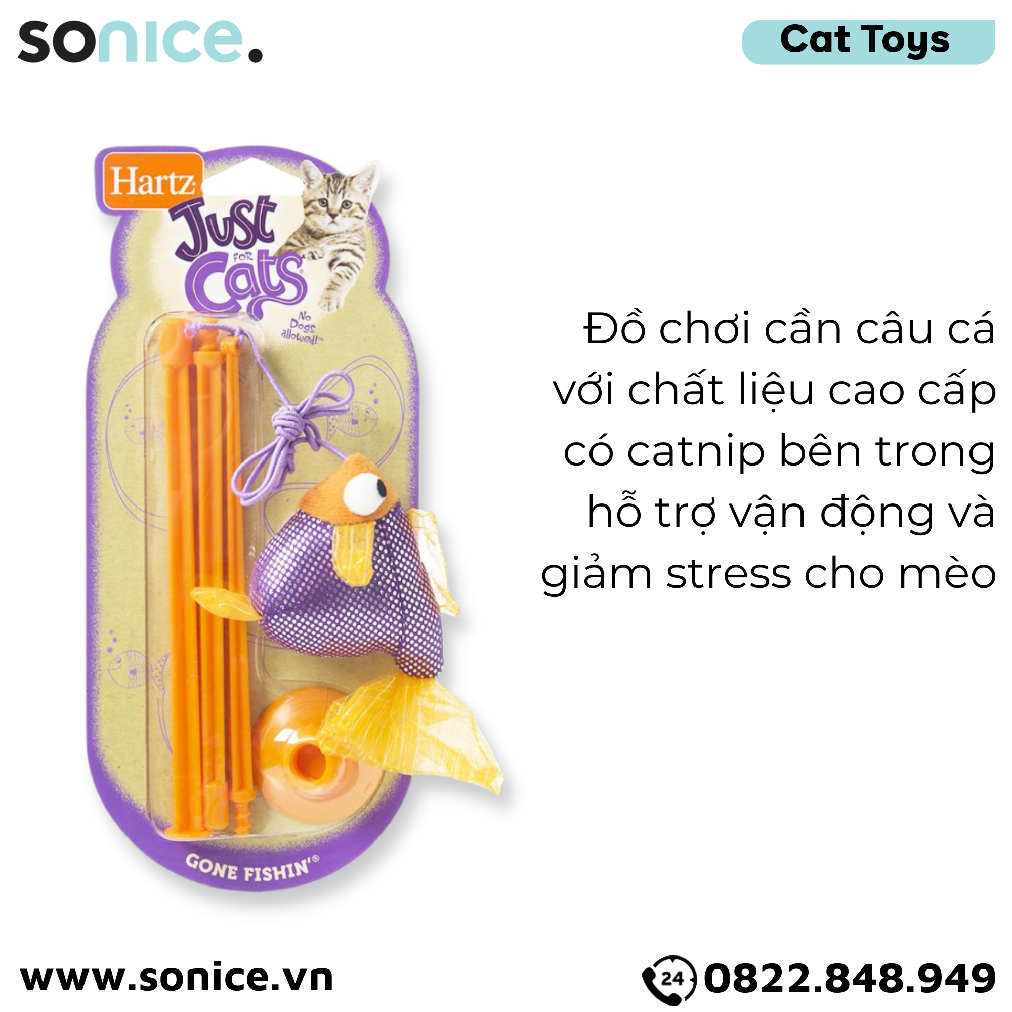 Đồ chơi cần câu Hartz Just for Cats Gone Fishin - Dành cho mèo, hỗ trợ vận động SONICE.