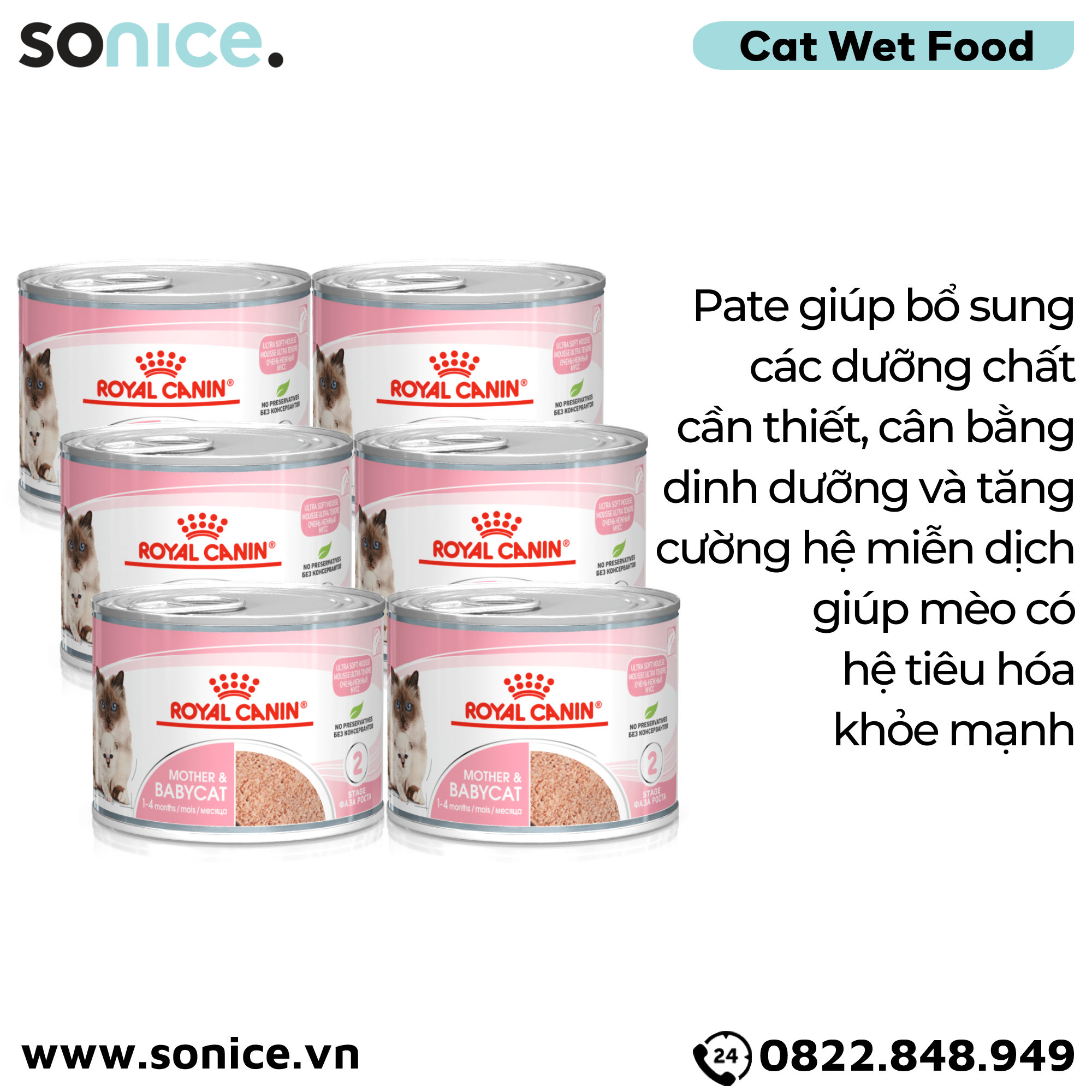  Combo Pate mèo Royal Canin Mother & Babycat 195g - 12 lon SONICE. 