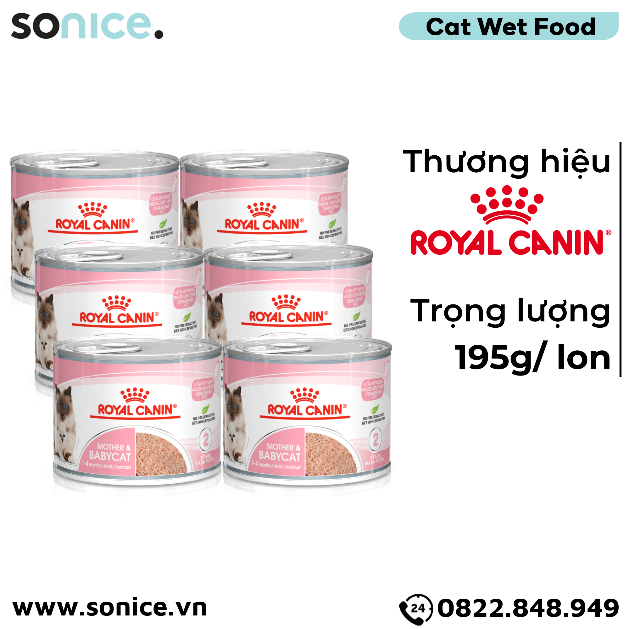 Combo Pate mèo Royal Canin Mother & Babycat 195g - 12 lon SONICE.