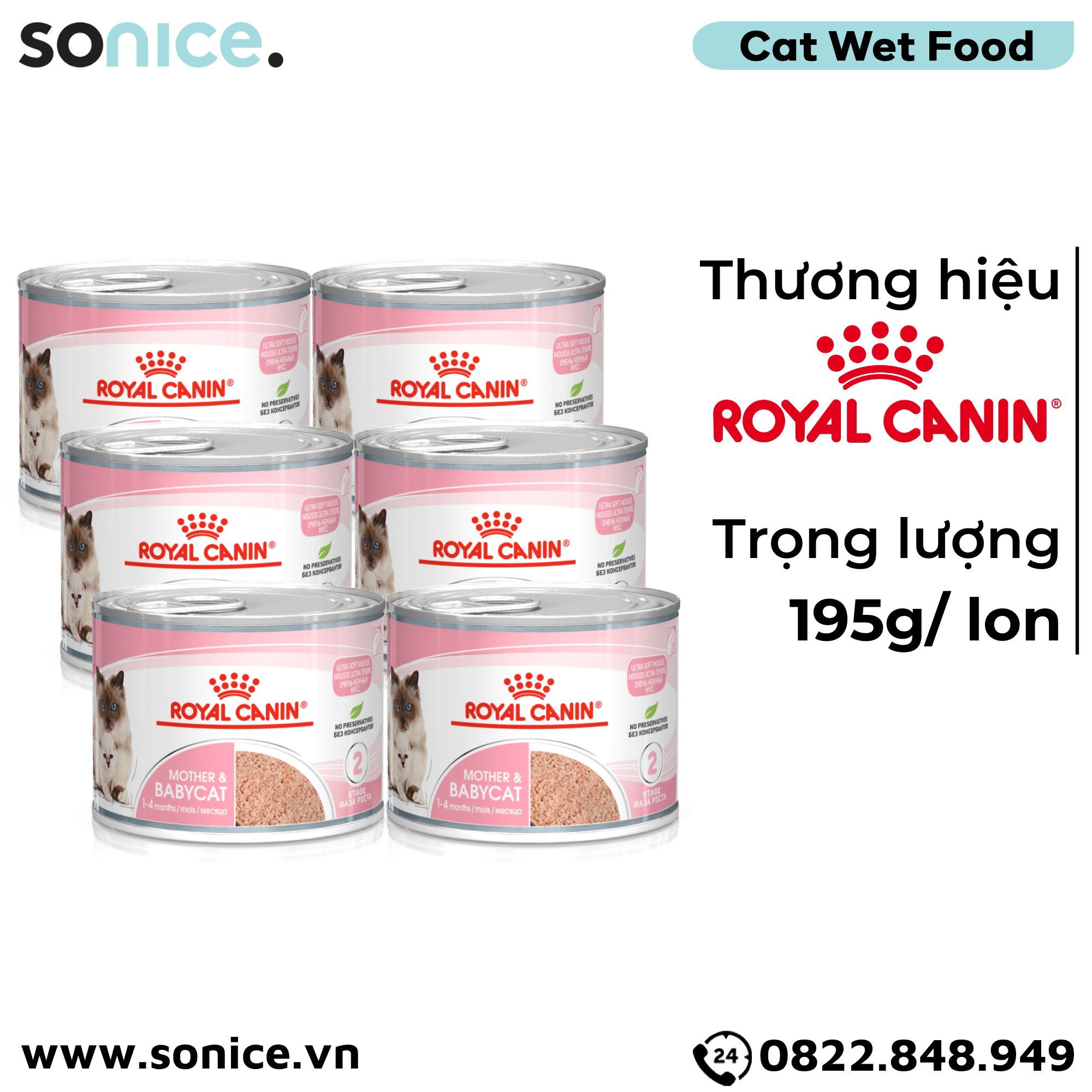  Combo Pate mèo Royal Canin Mother & Babycat 195g - 12 lon SONICE. 